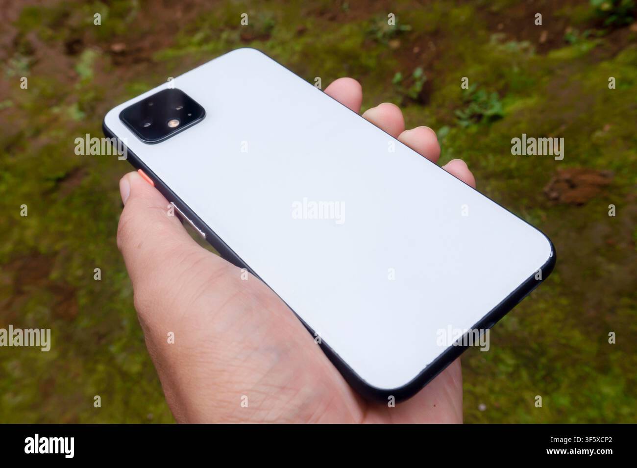 Hand Holding White Smartphone Back View Outdoors Stock Photo