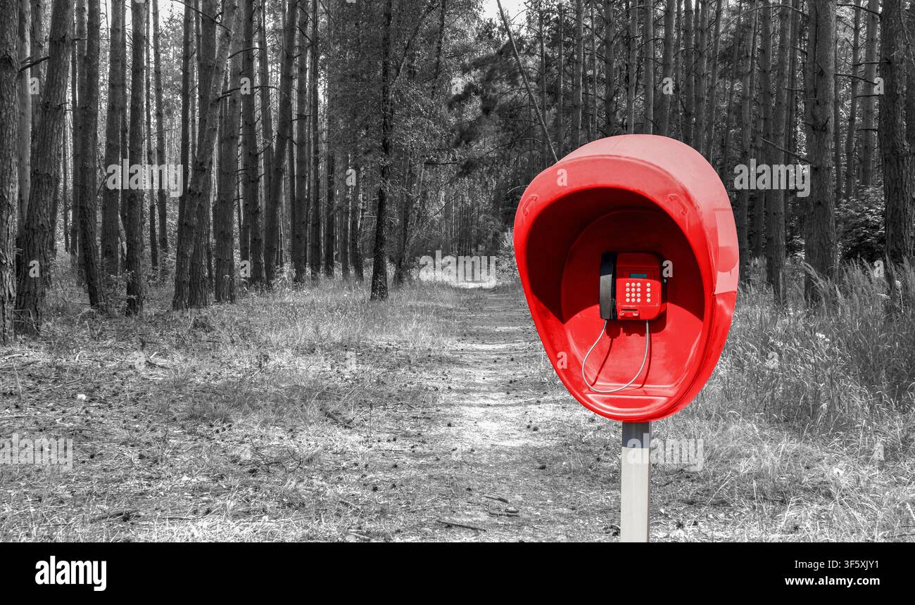 Pillar with red public telephone set in the pine forest black and white styled Stock Photo