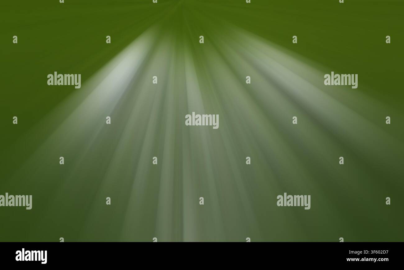 Abstract background showcasing soft, radial white light rays emanating from the top center against a deep green backdrop, creating a focused effect. Stock Photo