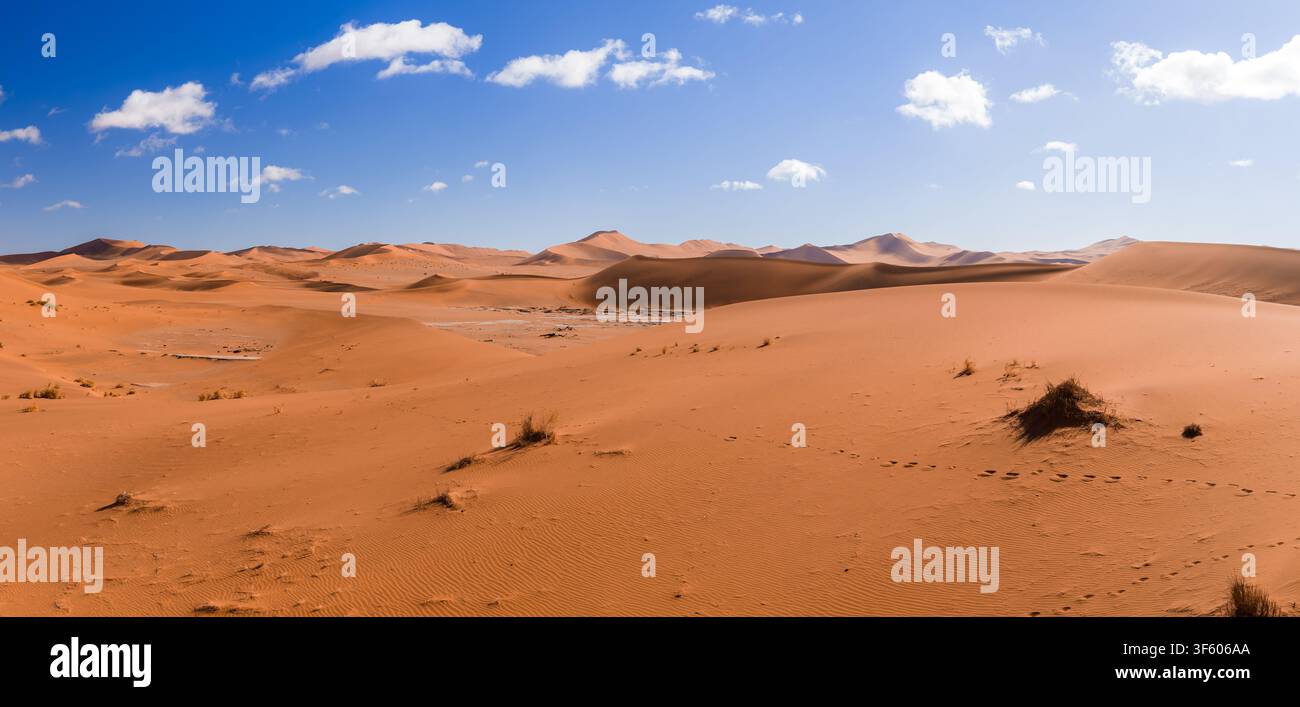 Sossusvlei dunes and Deadvlei clay pan under daylight in Namibia Stock Photo