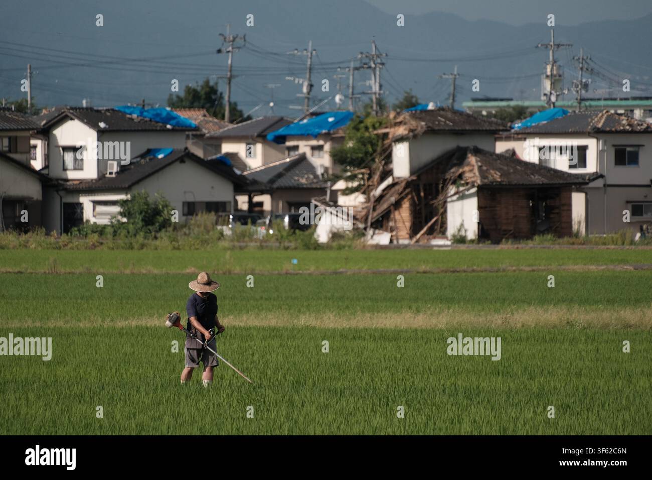 Stock Backdrops A resident farms against the backdrop of damaged houses affected by the ...