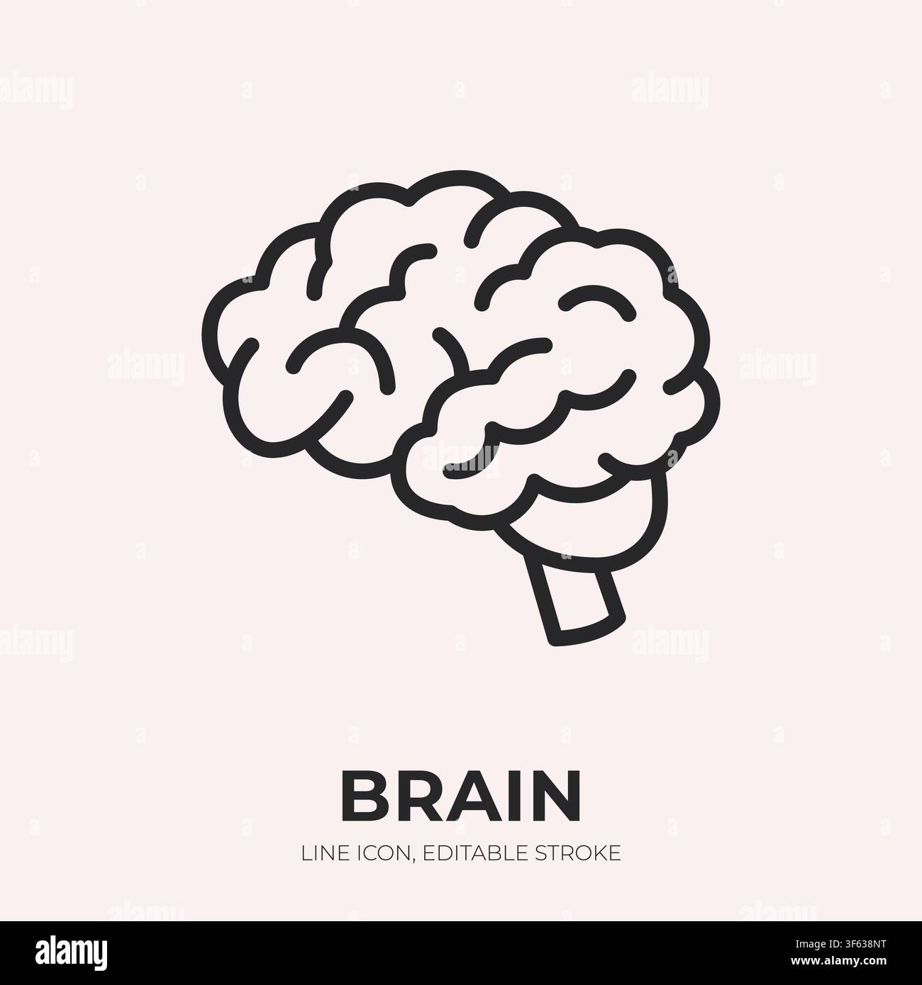 Brain line icon. Neurology linear vector illustration. Thin sign of human anatomy, mind, memory, real human organ, education label, medical web Stock Vector