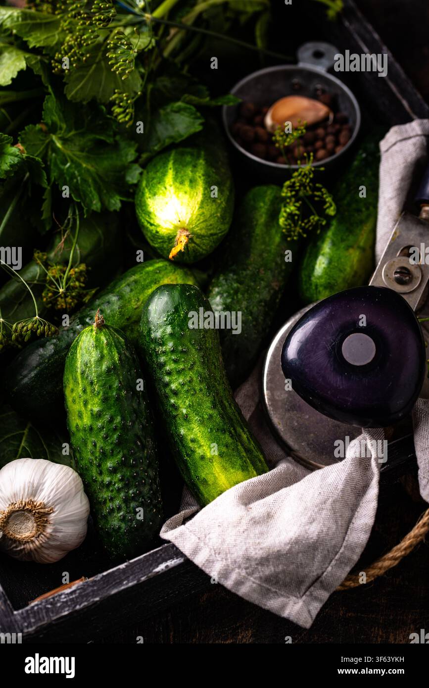 Preparation of marinated salty pickled cucumbers Stock Photo