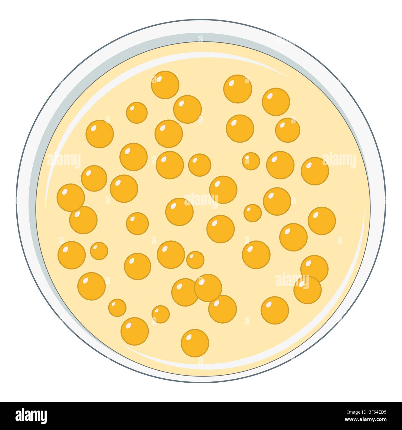 Staphylococcus aureus Bacterial Colonies Vector Illustration on Agar Plate Stock Vector