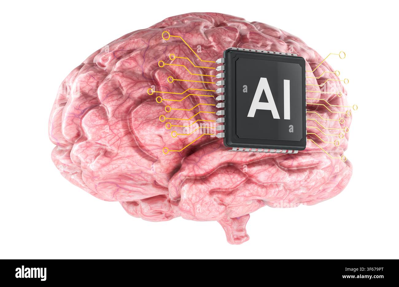 Human brain with AI chip. 3D rendering isolated on white background Stock Photo