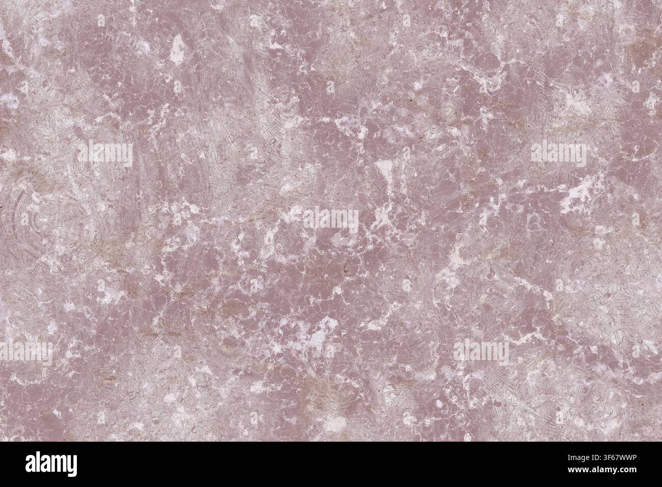 Soft dusty pink marble texture background featuring intricate white mineral veining. Stock Photo