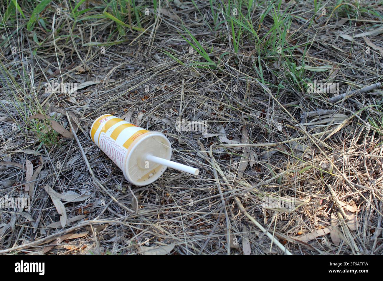 A discarded fast food paper cup with a plastic lid and straw lying as litter on dry grass and leaf litter in a park Stock Photo