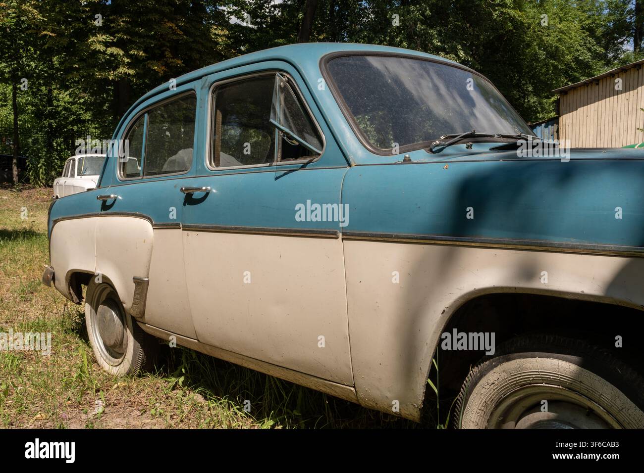 Classic blue and white retro sedan with weathered body and whitewall tires stands on dry grass near trees. Stock Photo