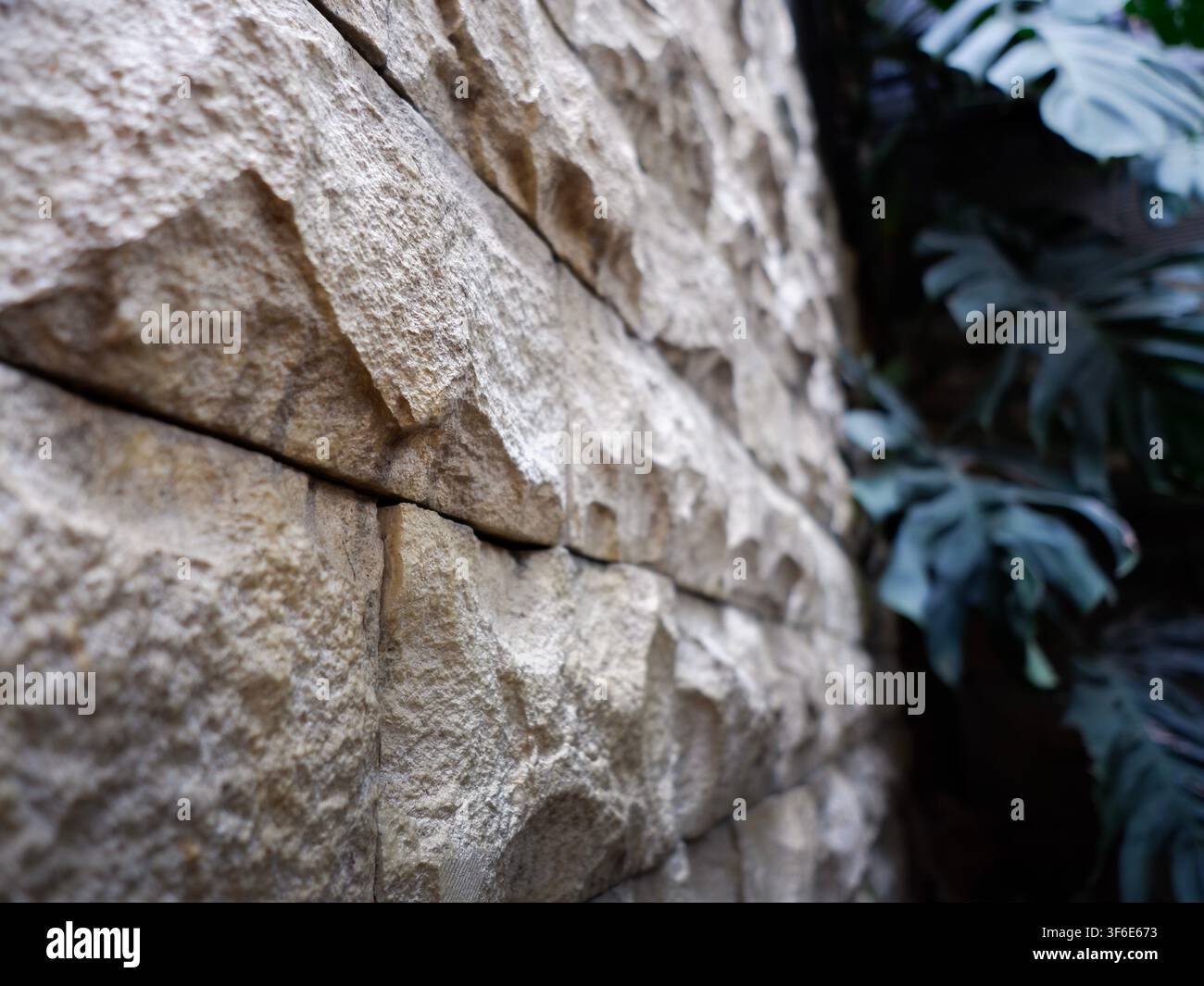 Low angle close-up of sandstone wall featuring textured stone block being lit by soft morning sunlight, with monstera plant blurred in the background. Stock Photo