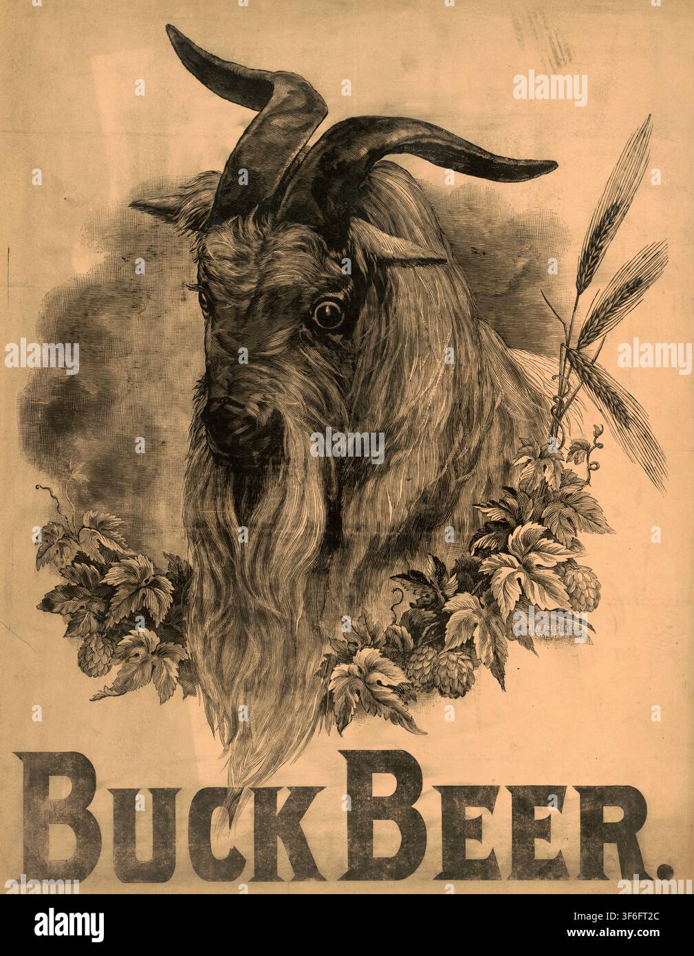 Werbeplakat, Getränkewerbung, Werbelithografie für Buck Beer aus dem späten 19. Jahrhundert von A. Lambrecht & Co. erstellt und zeigt einen detaillier Stock Photo