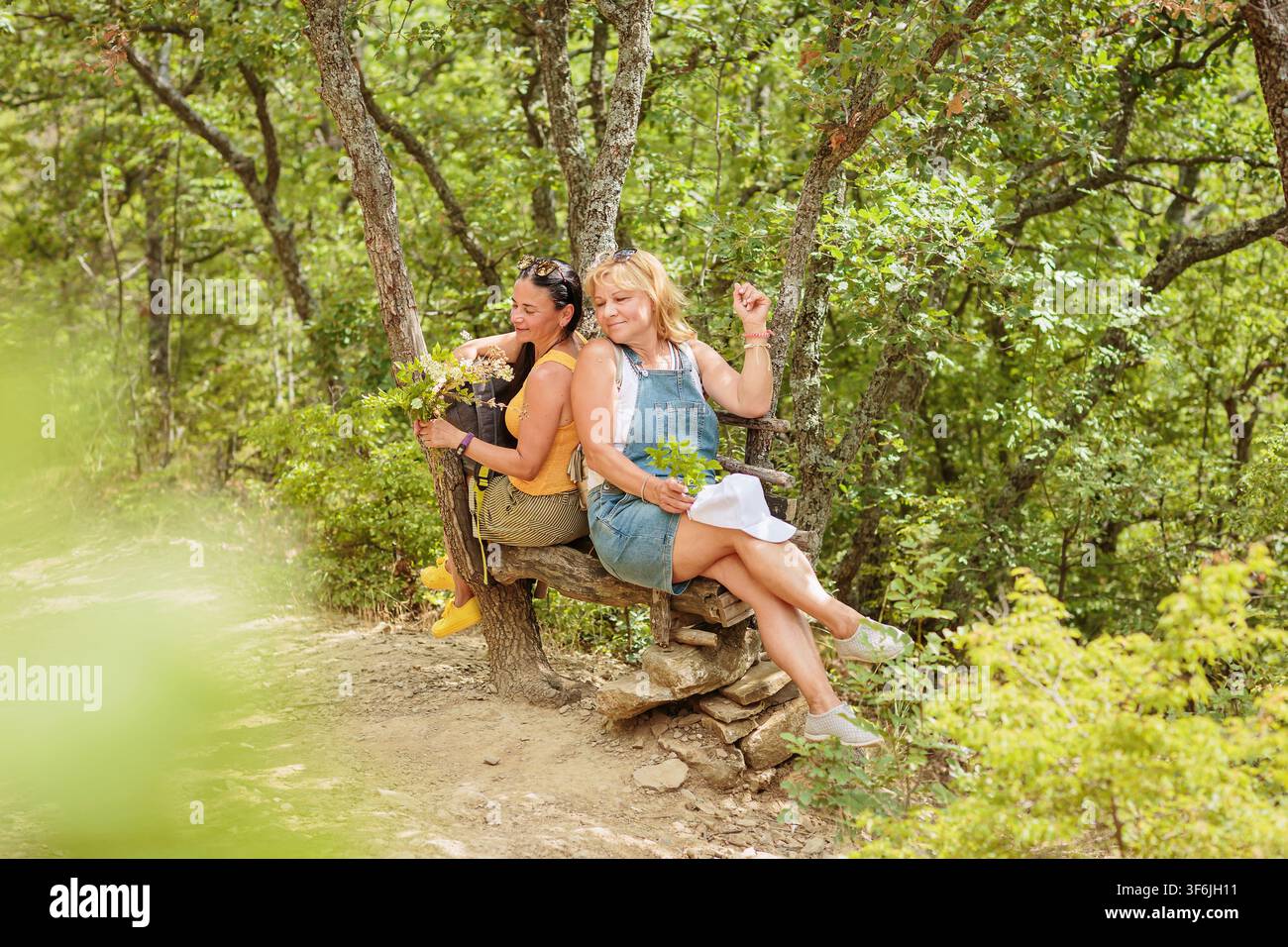 Happy female hikers enjoying forest break on rustic bench Stock Photo