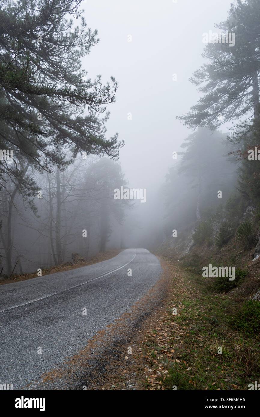 Foggy Mountain Road Through Pine Forest Stock Photo