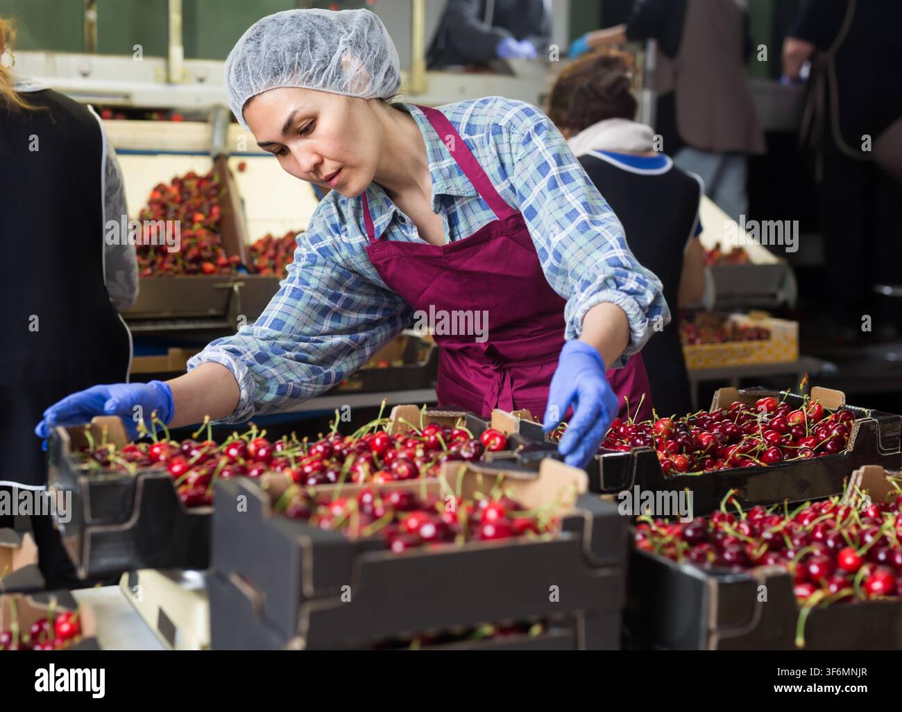 Woman in cherry warehouse Stock Photo