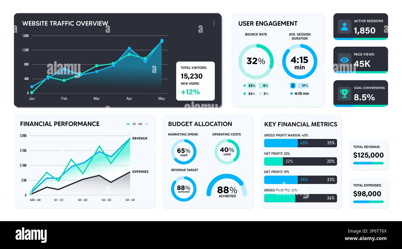 Professional Data Visualization Dashboard for Business Analytics and Financial Performance Tracking Stock Vector