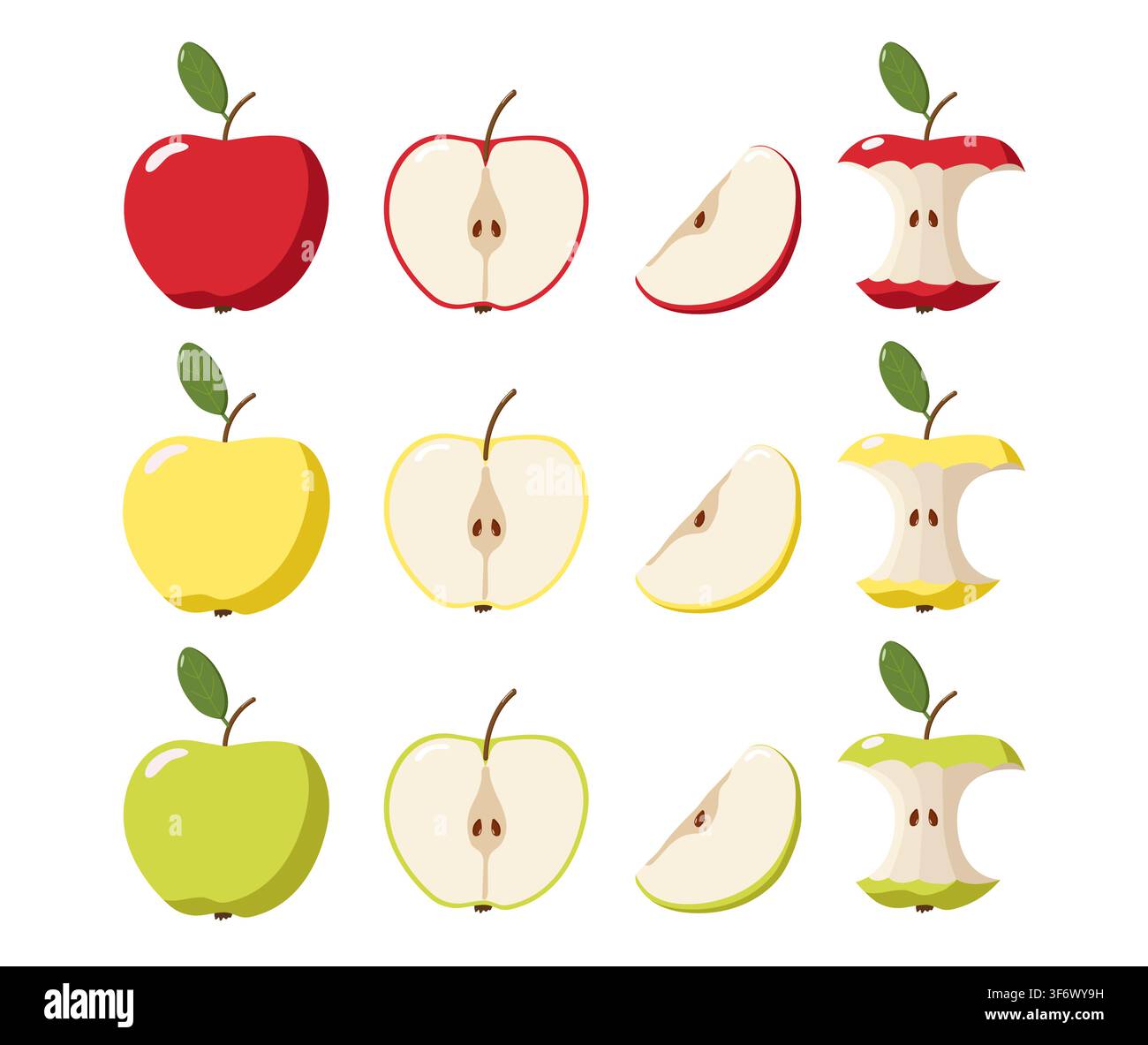 Rows of red, yellow, and green apples shown in four stages whole, halved, sliced, and eaten core Stock Vector