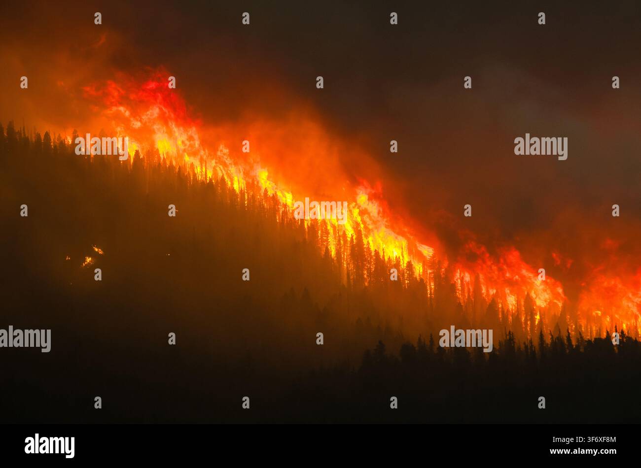 Massive wildfire raging on a forested hillside Stock Photo