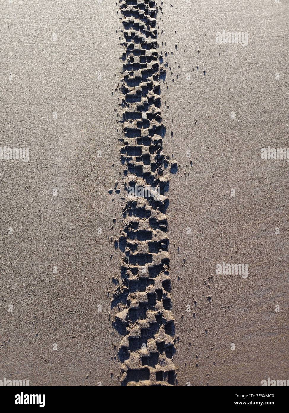 Tire Tracks on Wet Sand, Top-Down View Stock Photo