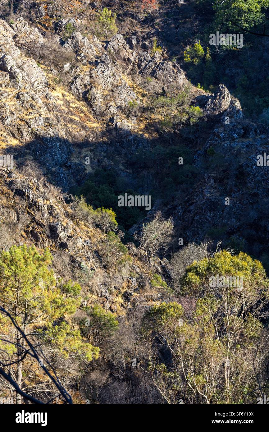 A rugged rocky ravine features steep stone cliffs dotted with sparse green vegetation and trees in central Portugal. Stock Photo