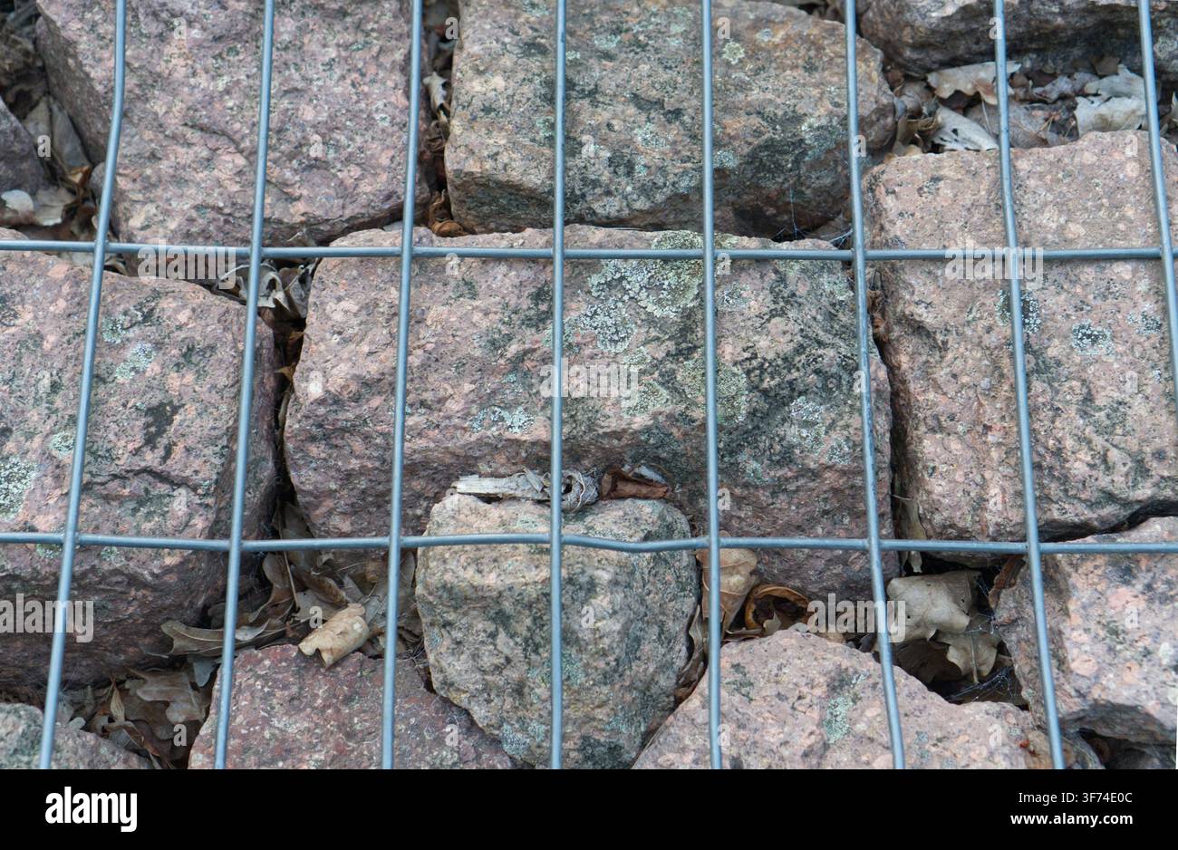 Granite cobblestone pavement texture viewed behind a metal wire mesh grid Stock Photo