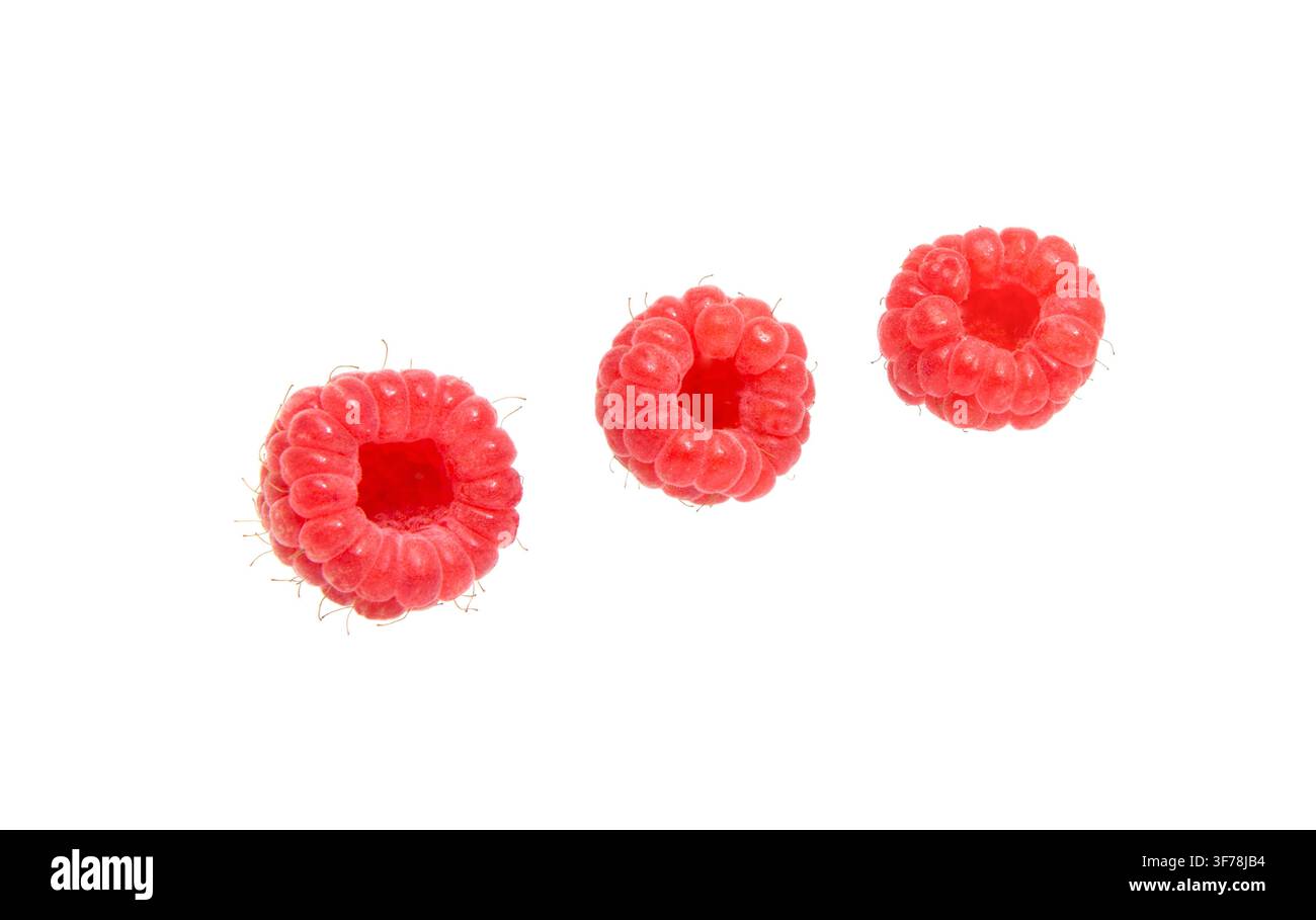 Raspberry. Rasberries isolated on white background. Raspberry collection. Stock Photo