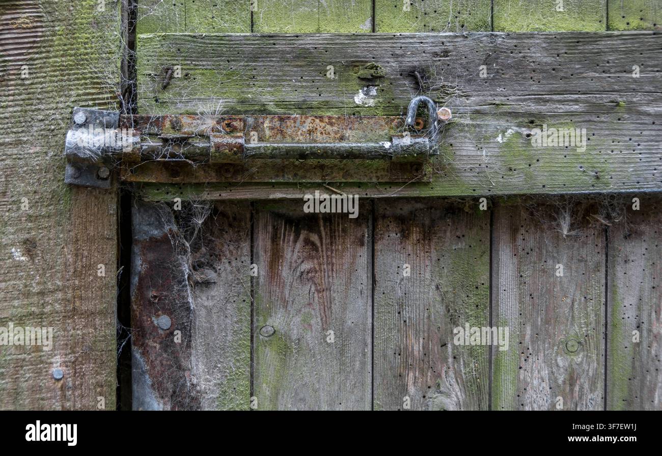 A very old, rusty door bolt , on an old, wooden door Stock Photo