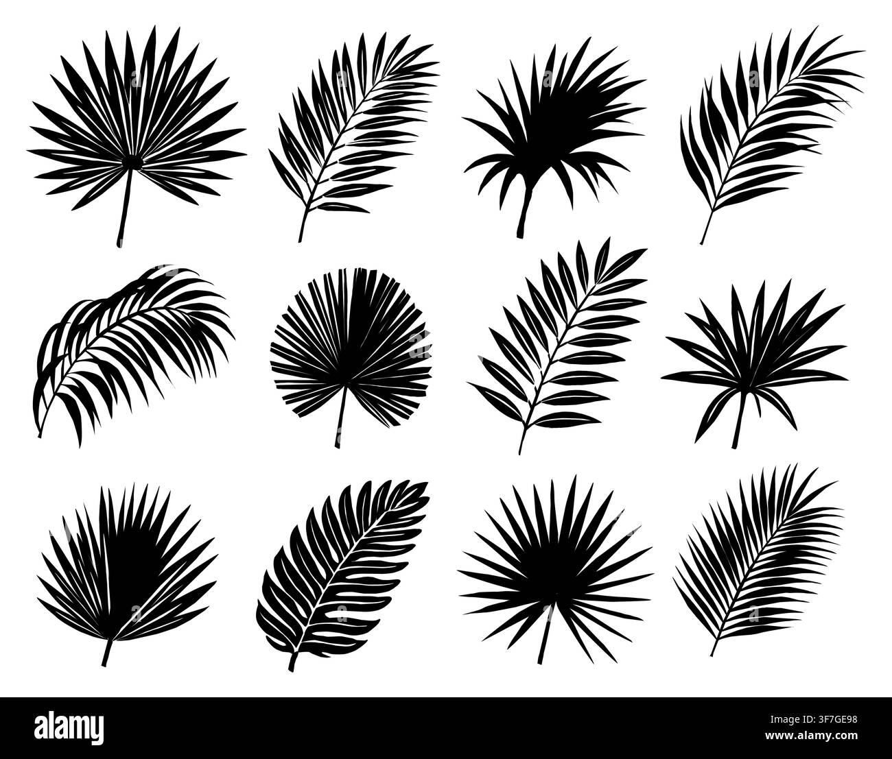 Black silhouettes of tropical palm frond leaves. Stock Vector