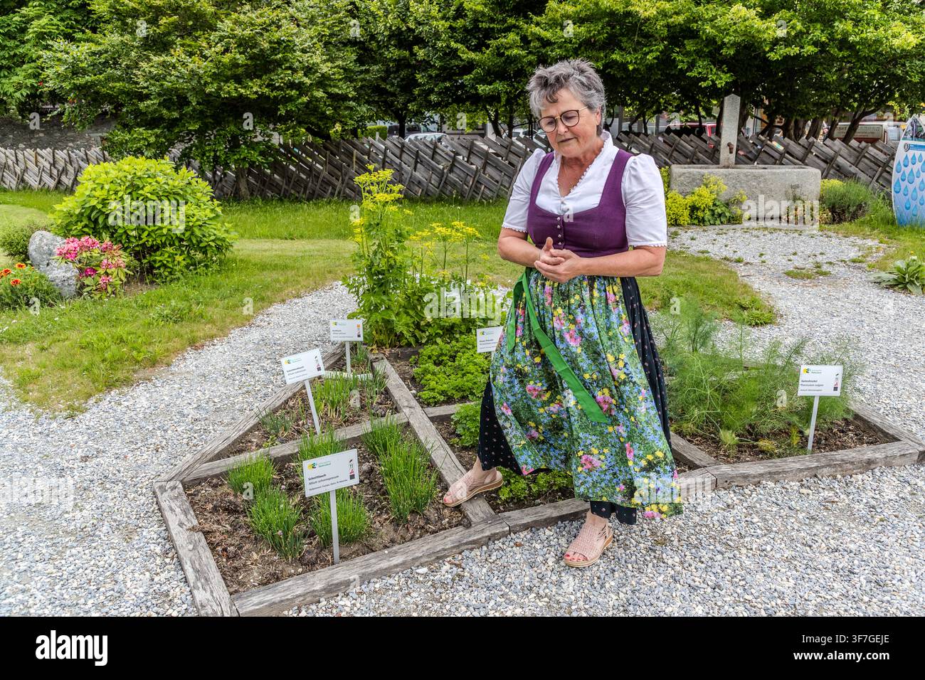 Organic farmer and herbalist Andrea Rieder at the Hollersbach Herb Garden provides information on culinary herbs and mountain herbs, Reitlehen, Salzburg, Austria Stock Photo