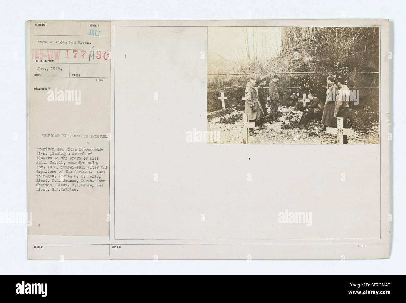German world war i red cross nurse hi-res stock photography and