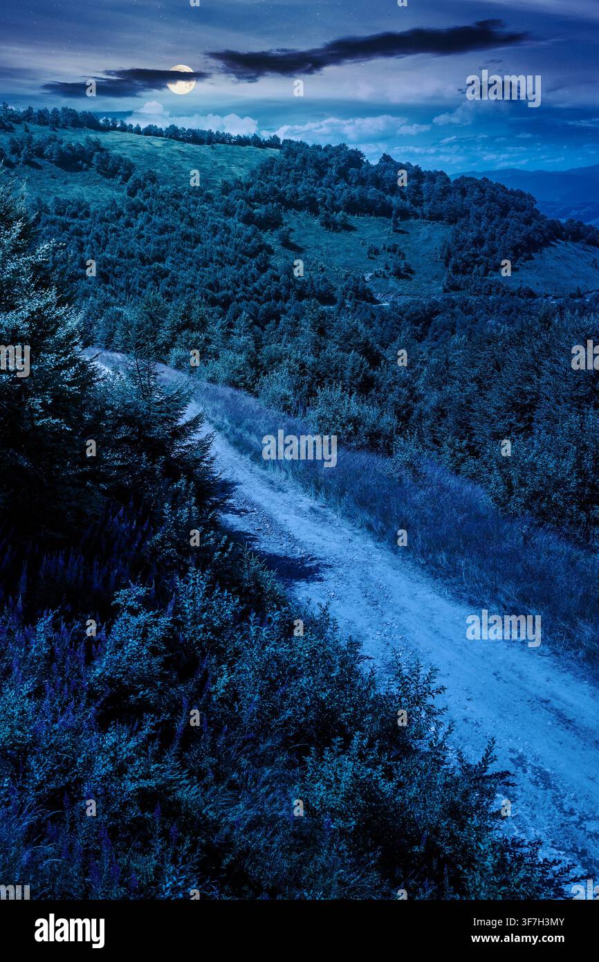 hiking path in carpathian mountains at night. full moon over alpine nature of transcarpathia in summer. ukraine mountain landscape for travel. views o Stock Photo