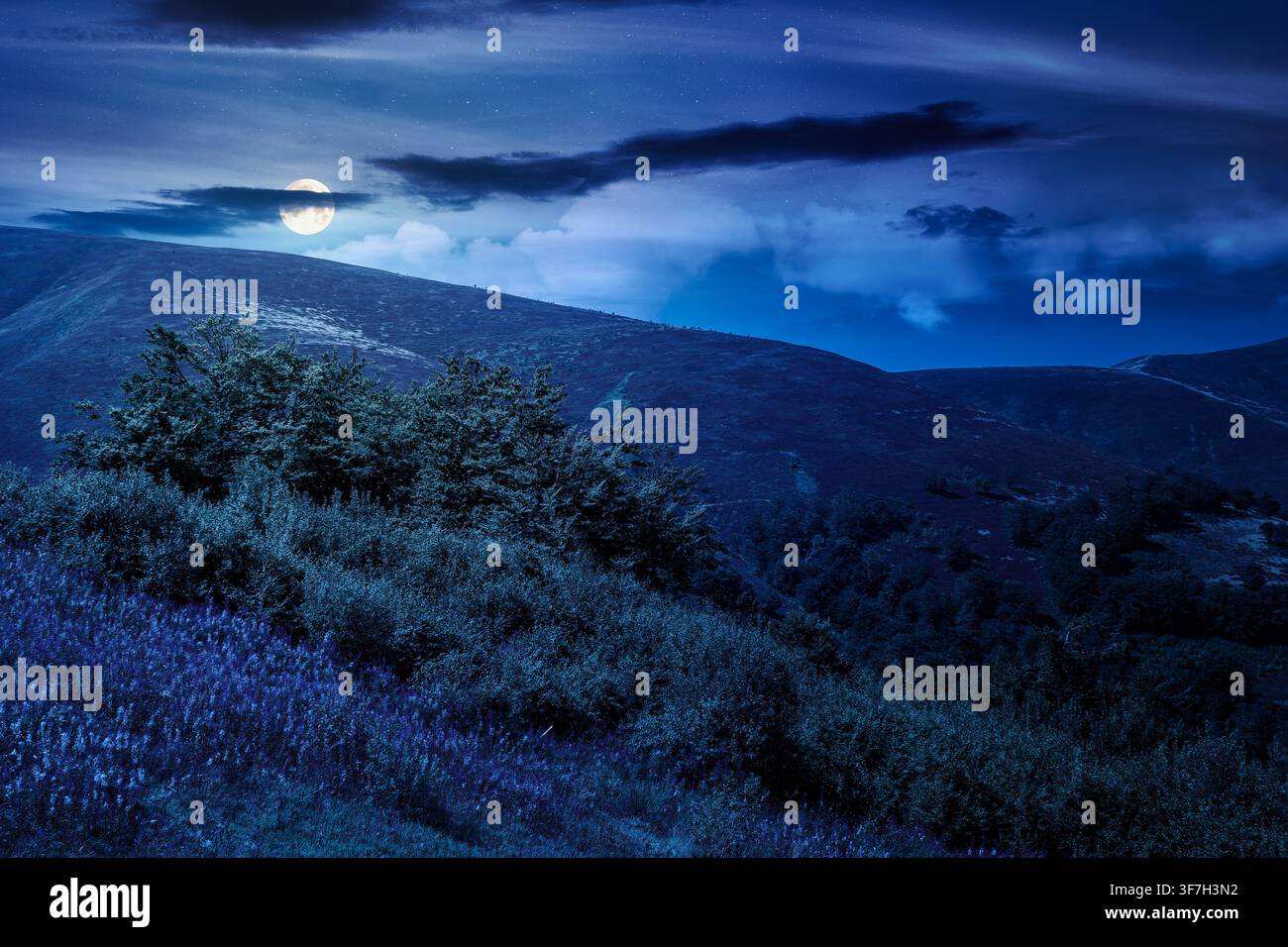 carpathian mountain landscape. travel ukraine in summer. slopes mountain ridge in august at night. wonderful carpathian adventure in full moon light Stock Photo