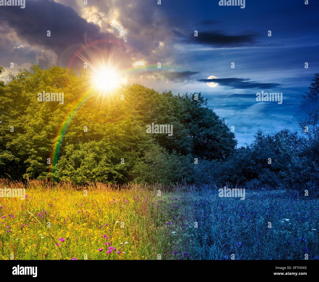 deciduous beech forest near meadow under dramatic sky. nature scenery with tall grass near forest at twilight. carpathian beech forest of ukraine. wil Stock Photo