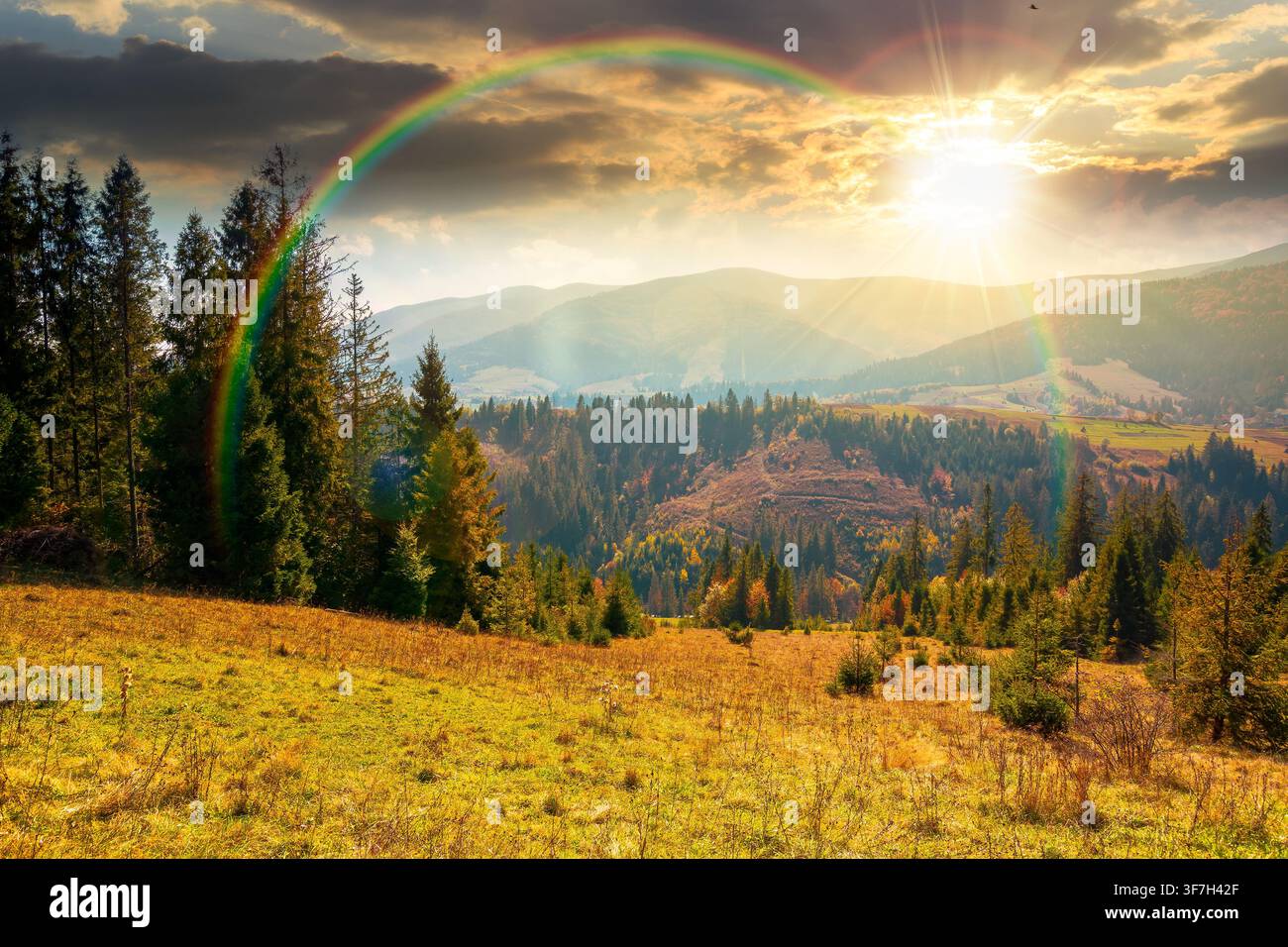 countryside mountain landscape in autumn. weathered grassy field on a hill near forest. rural sunset background. alpine highland of ukraine in evening Stock Photo