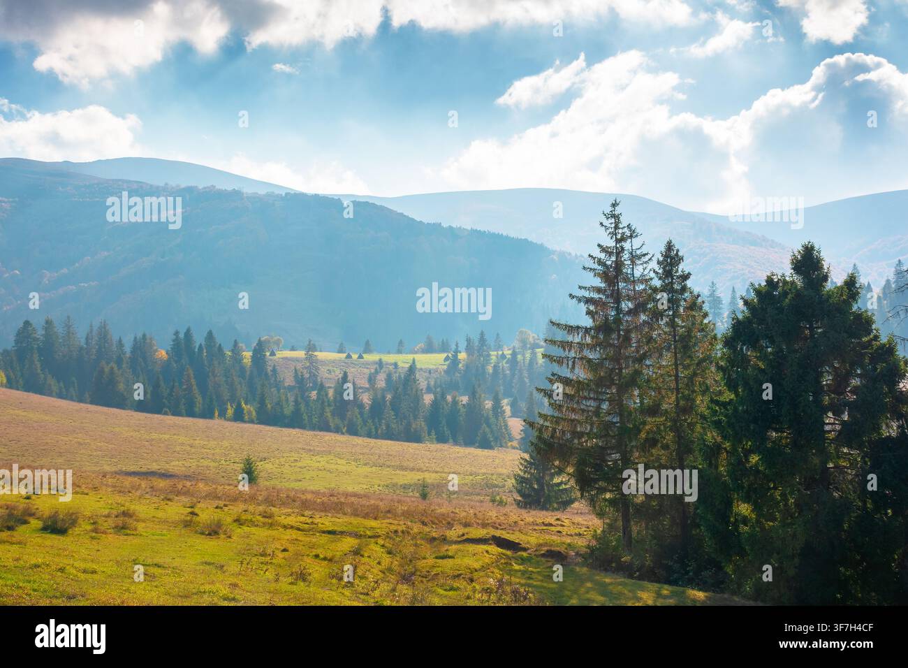 countryside mountain landscape in autumn. weathered grassy field on a hill near forest. rural outdoor adventure background. alpine highland of ukraine Stock Photo