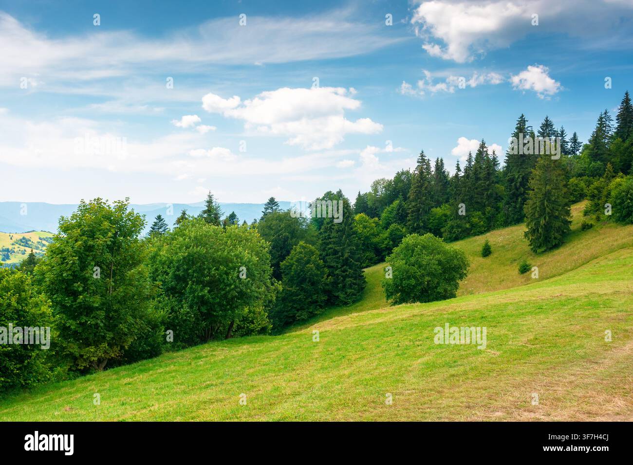 countryside mountain landscape of ukraine. rural fields and forested hills on a sunny day. remote place of mizhhirya district in transcarpathia for su Stock Photo