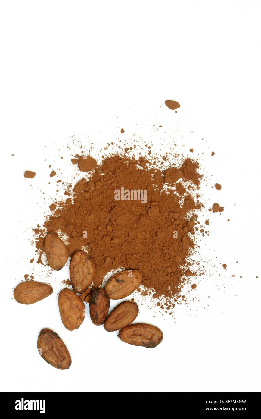 Cocoa powder and cocoa beans Stock Photo