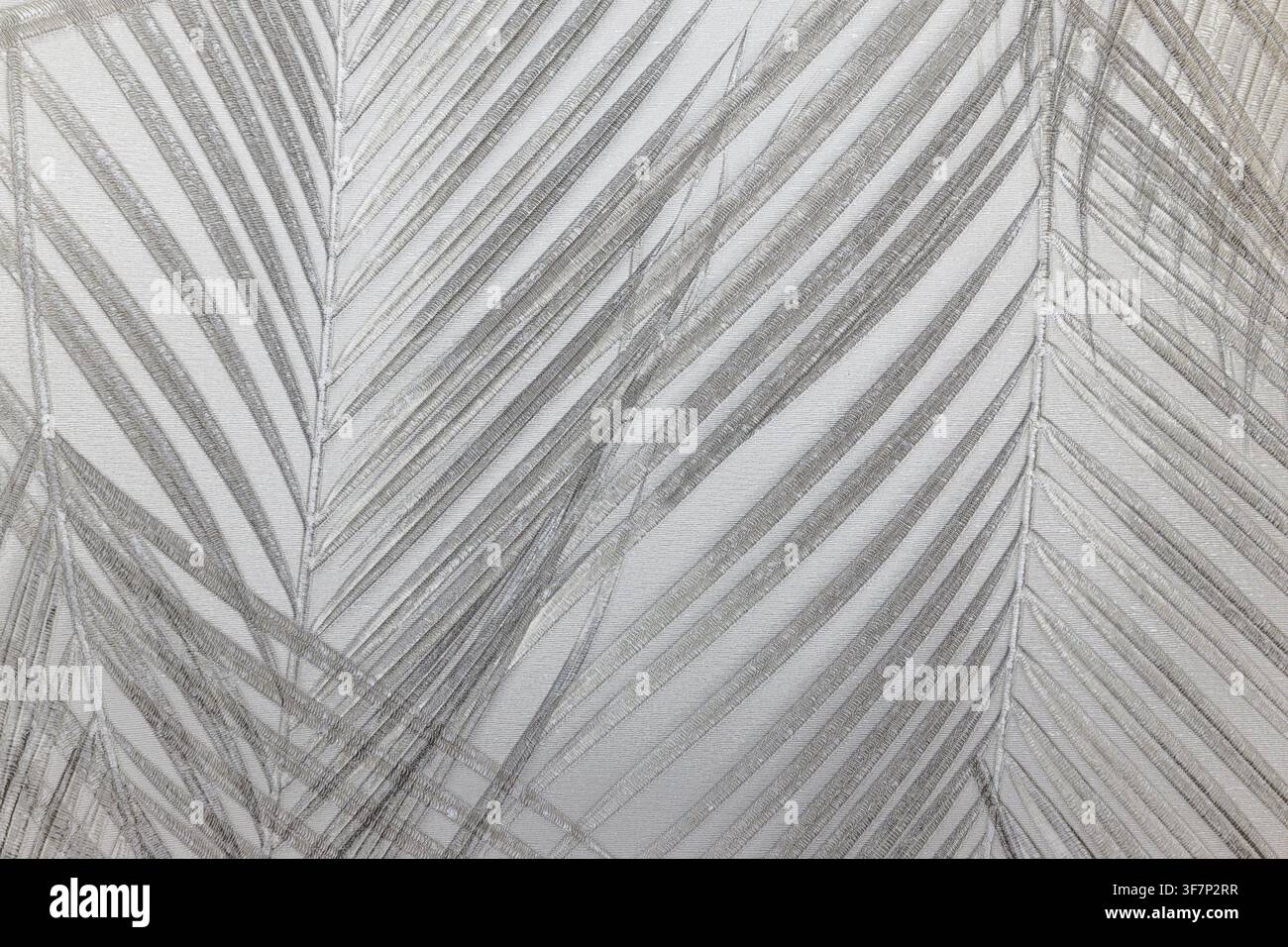 High-contrast black and white photography featuring palm foliage shadows, showcasing delicate textures and lines on a solid wall or fabric surface. Stock Photo