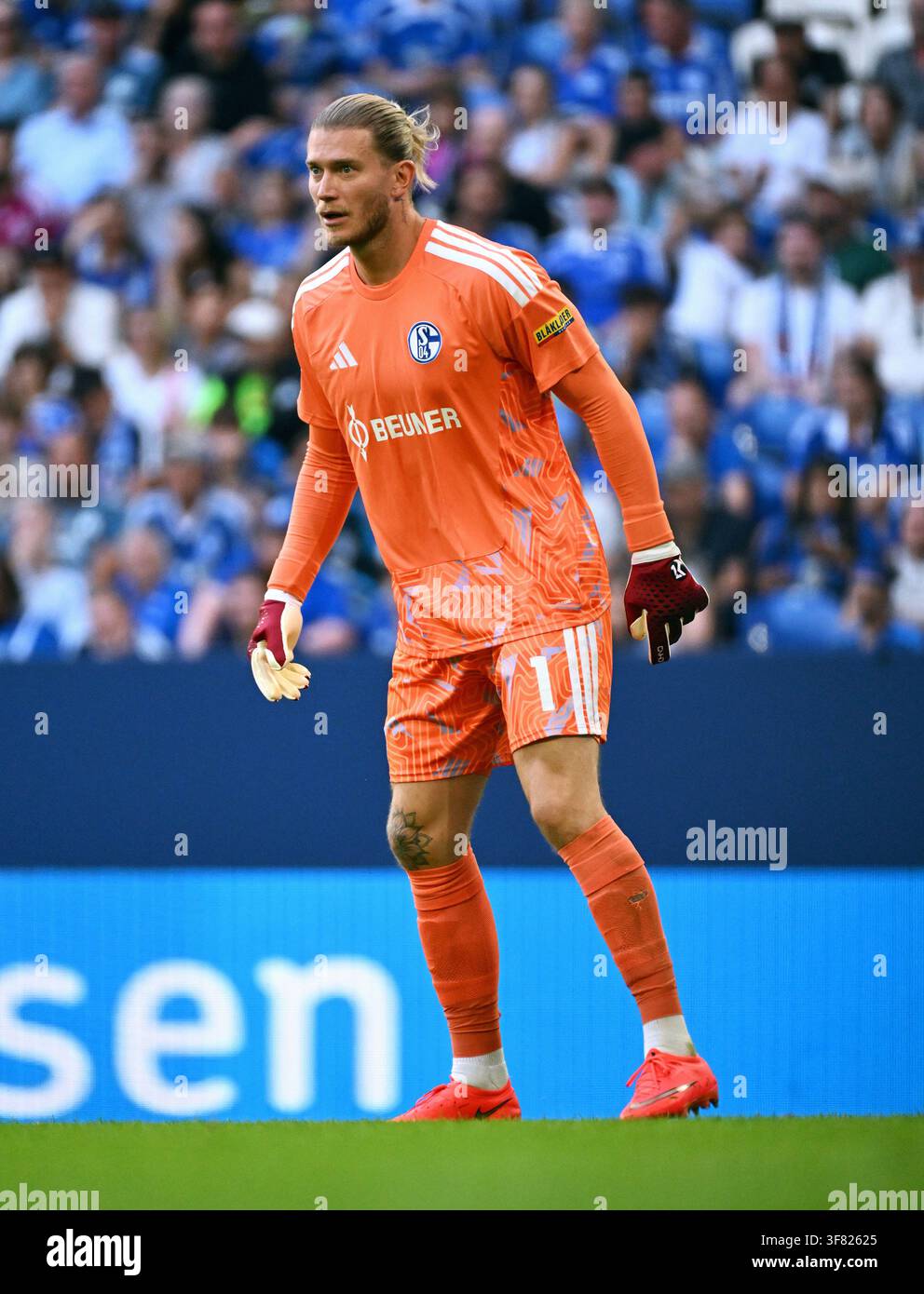 Loris karius hi-res stock photography and images - Alamy