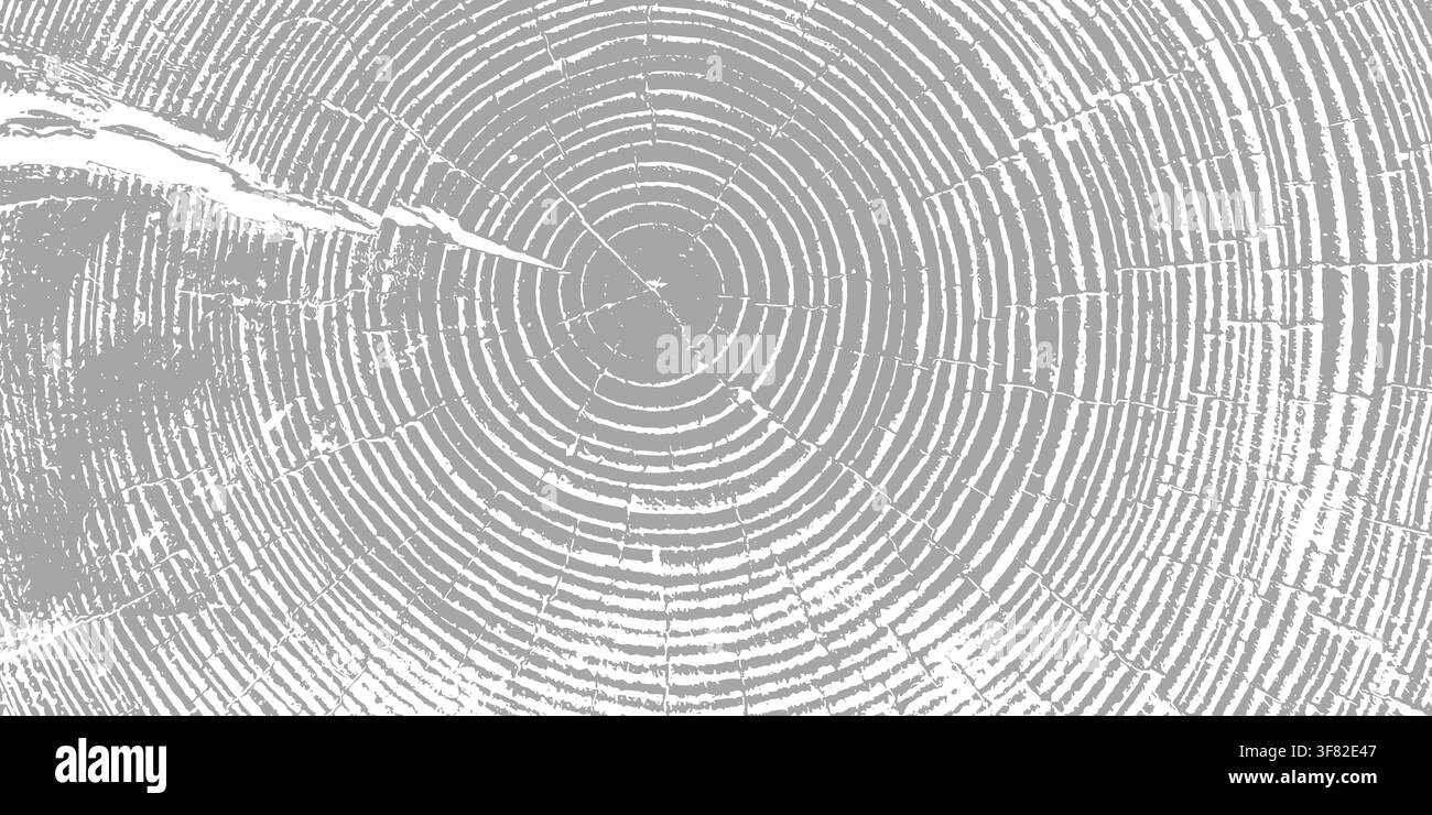 Tree ring pattern showcasing natural wooden texture vector illustration background. Stock Vector