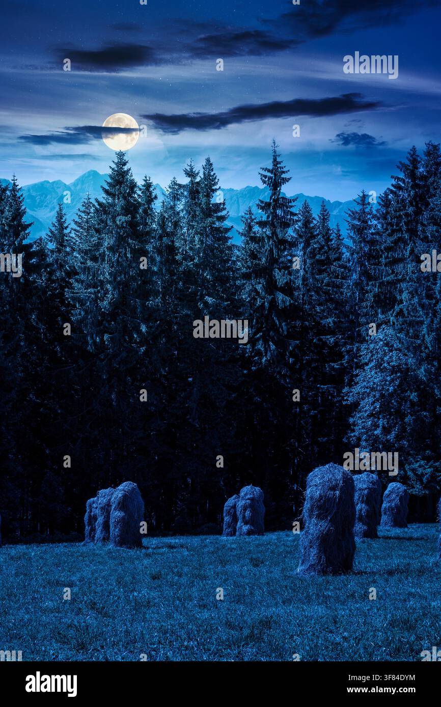 rural landscape with coniferous forest on a green hill at night. full moon over spruce trees on grassy meadow in tatra mountains. summer vacation in p Stock Photo