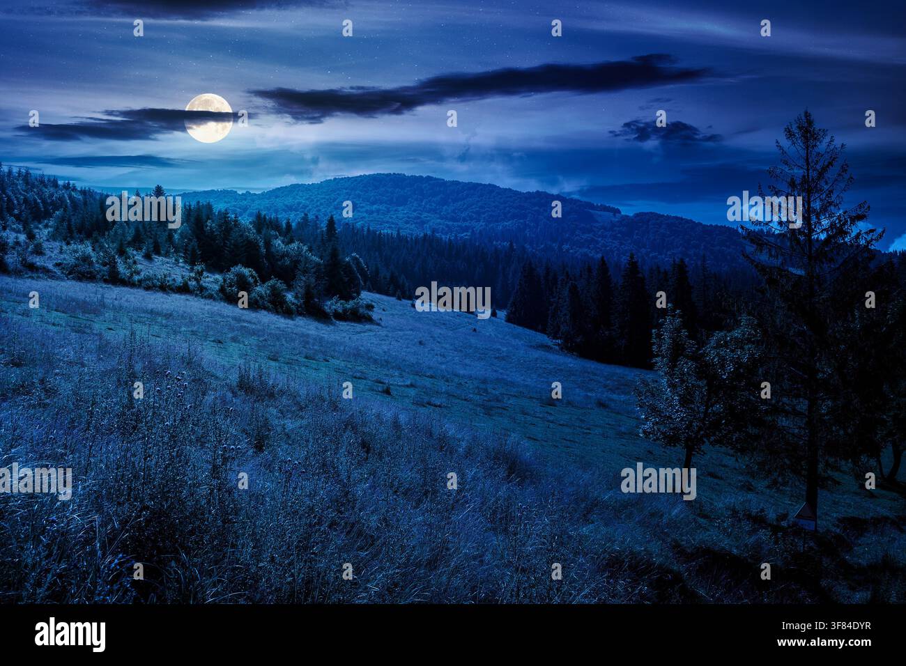 countryside mountain landscape in summer at night. full moon over Borzhava mountain ridge behind the green pasture. view of field near coniferous fore Stock Photo