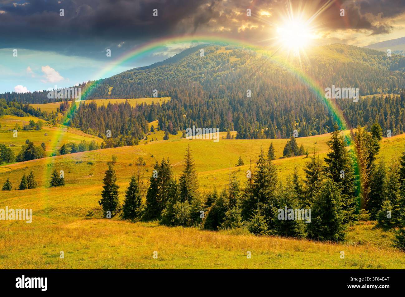 sunset over countryside mountain landscape in summer. view of Borzhava mountain ridge behind the green pasture. field near coniferous forest. evening Stock Photo