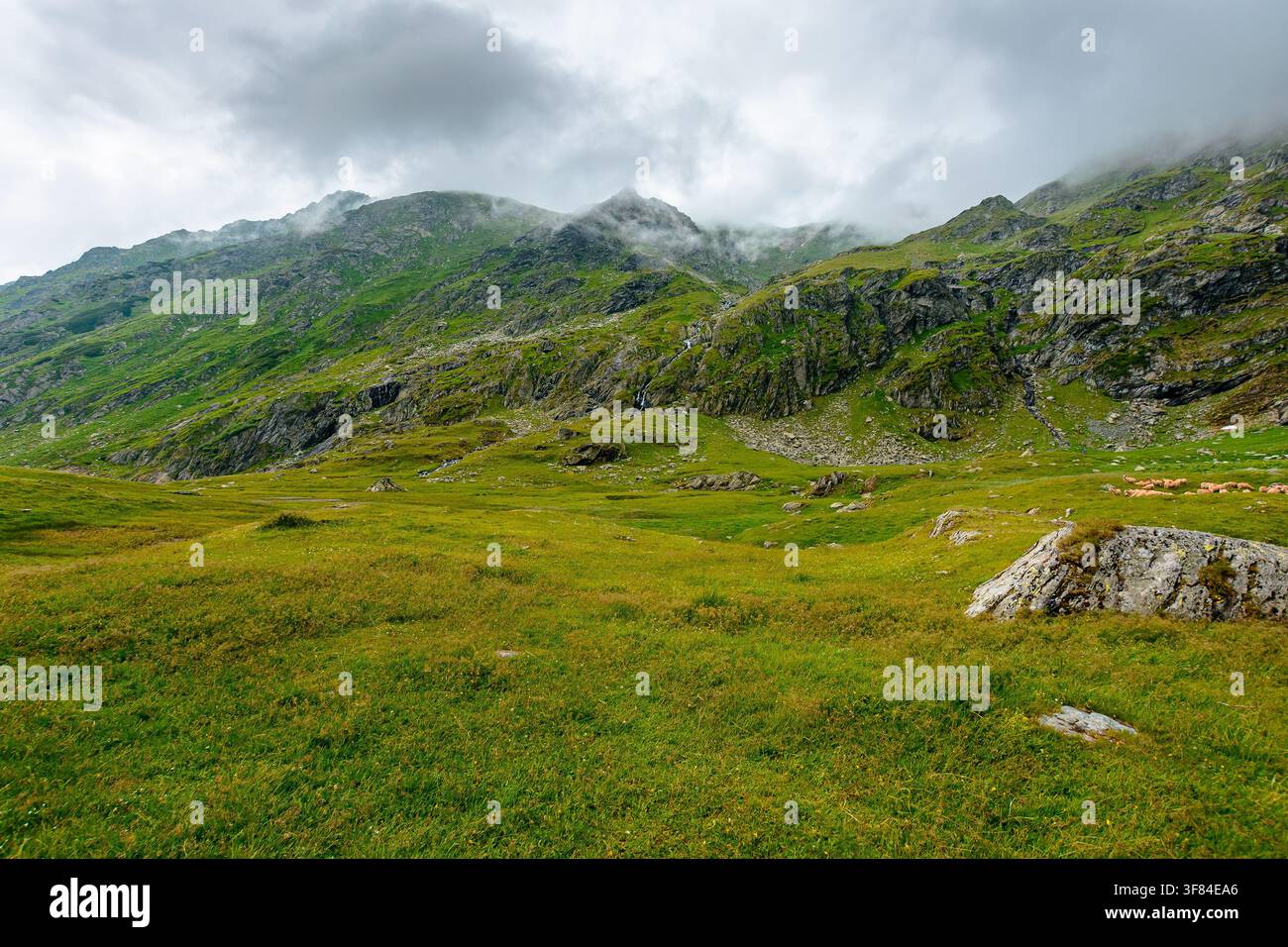 Romania mountain landscape in summer. scenic view of Fagaras ridge under overcast sky. rainy weather forecast background Stock Photo