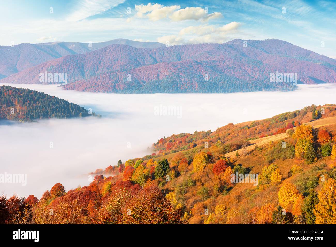 valley in morning fog. carpathian mountain landscape in autumn. scenic view of an alpine countryside in fall season Stock Photo