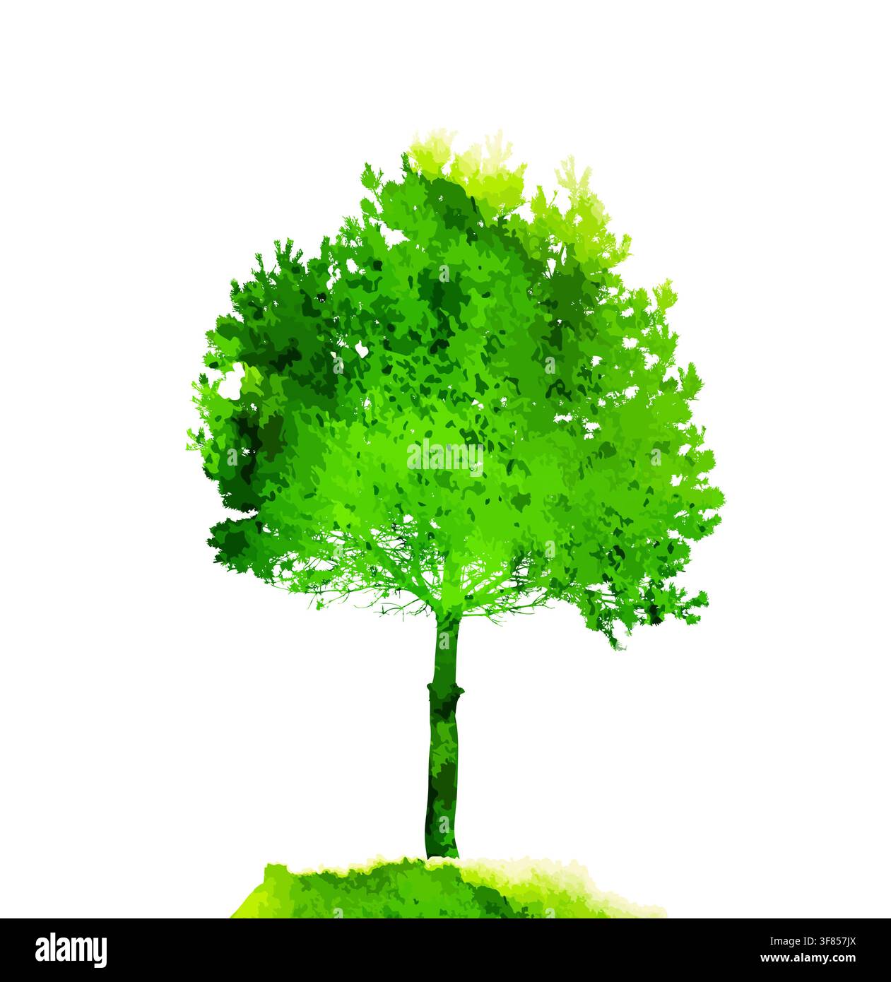 Green watercolor tree. Hello Spring. Vector illustration Stock Vector