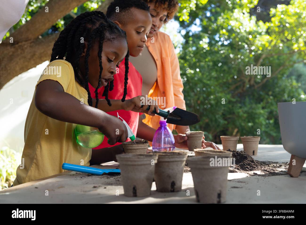 Youth male african american potting hi-res stock photography and images ...