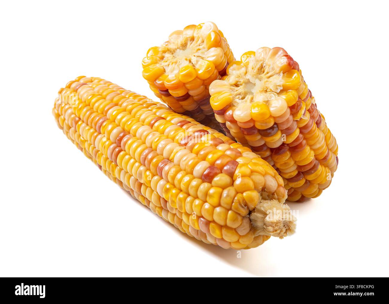 Boiled multicolored waxy corn cobs and cut segments isolated on white background Stock Photo