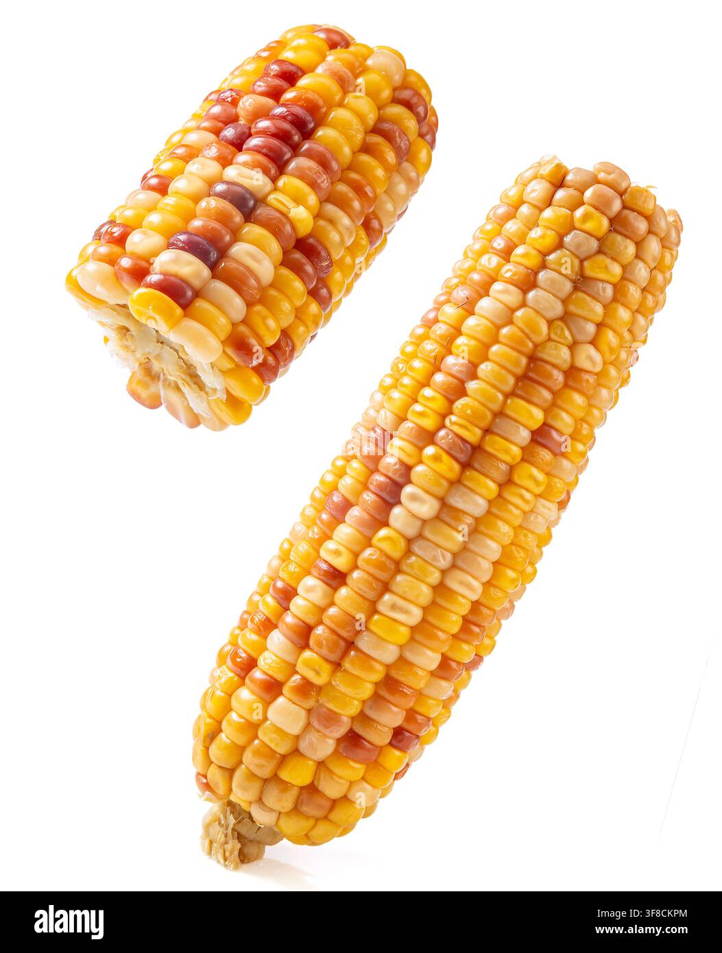 Boiled multicolored waxy corn cobs and cut segments isolated on white background Stock Photo
