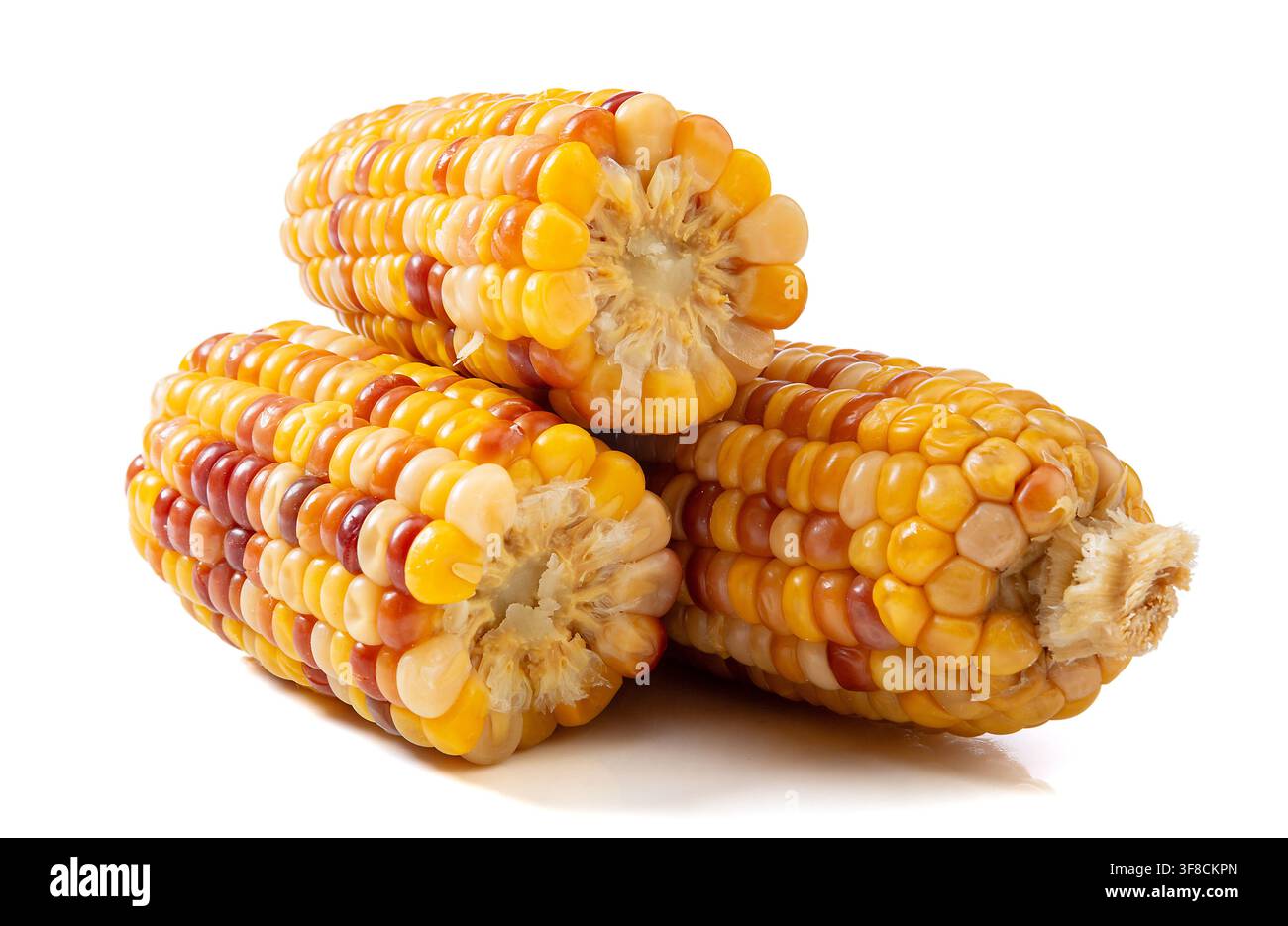 Boiled multicolored waxy corn cobs and cut segments isolated on white background Stock Photo