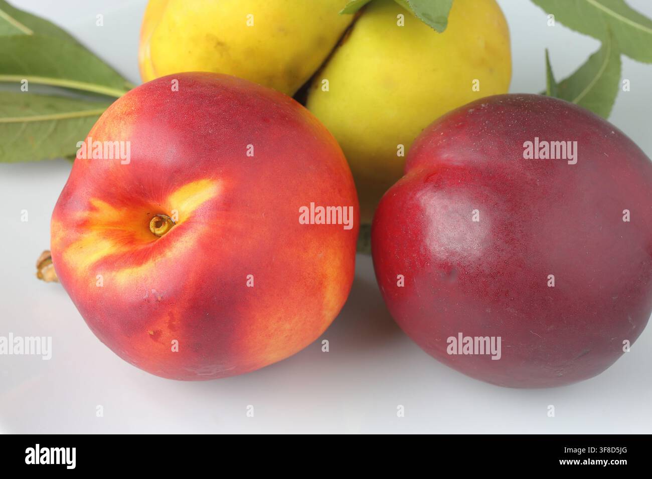 Fresh Nectarines with Green Leaf Isolated on White Stock Photo