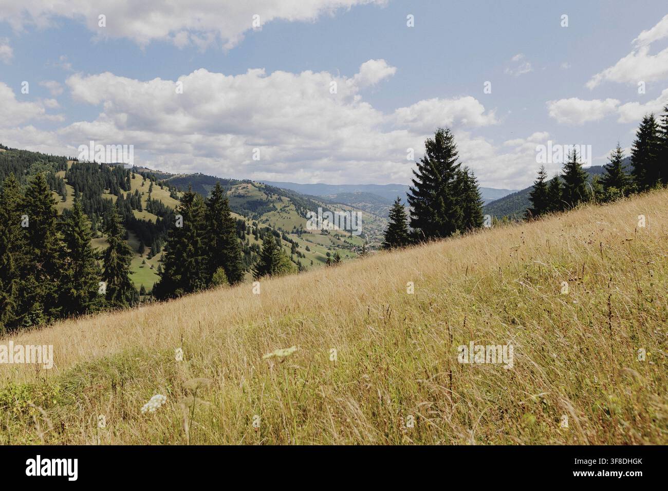 View of the landscape, taken in Valea Rece, July 29, 2026 Stock Photo ...